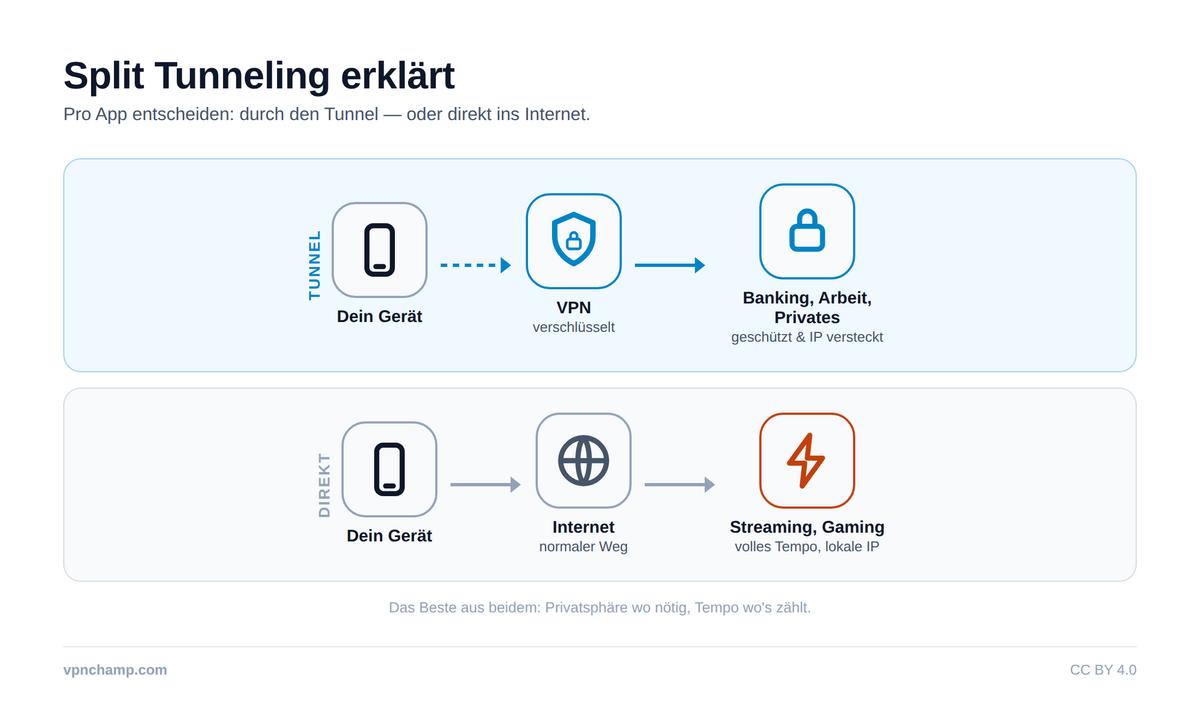 Split-Tunneling: Vor- & Nachteile – Infographic